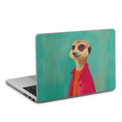 Foils for Laptops matt