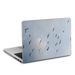 Foils for Laptops matt