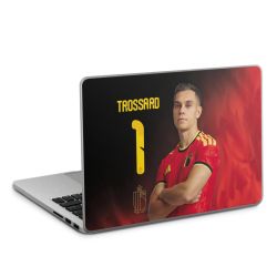 Foils for Laptops matt