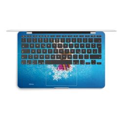 Foils for Laptops matt