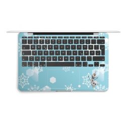 Foils for Laptops matt