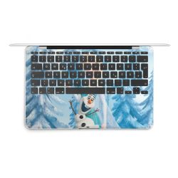 Foils for Laptops matt