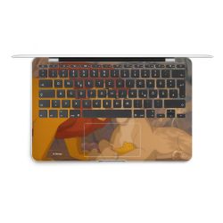 Foils for Laptops matt