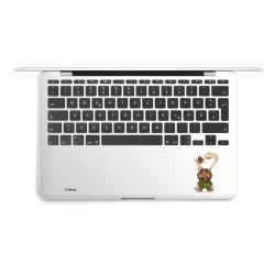 Foils for Laptops matt