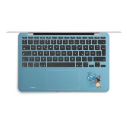 Foils for Laptops matt