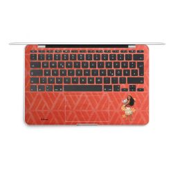 Foils for Laptops matt