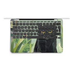 Foils for Laptops matt