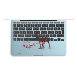 Foils for Laptops matt