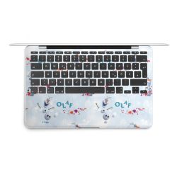 Foils for Laptops matt