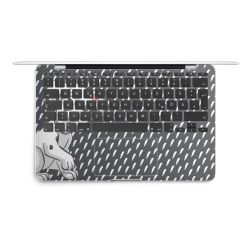 Foils for Laptops matt