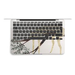 Foils for Laptops matt