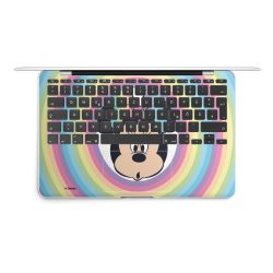 Foils for Laptops matt