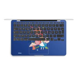 Foils for Laptops matt