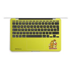 Foils for Laptops matt