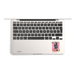 Foils for Laptops matt