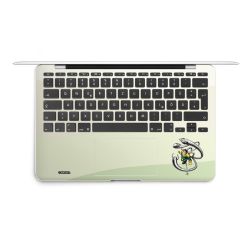 Foils for Laptops matt