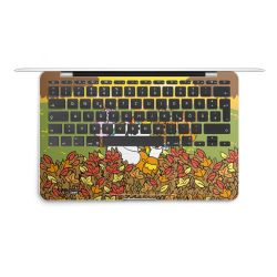 Folien für Laptops matt