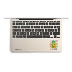 Foils for Laptops matt