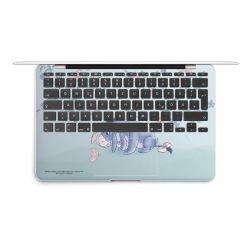 Foils for Laptops matt