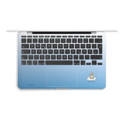 Folien für Laptops matt