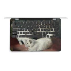 Foils for Laptops matt