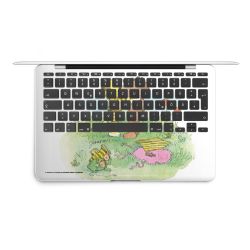 Foils for Laptops matt