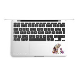 Foils for Laptops matt