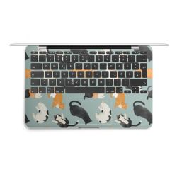 Foils for Laptops matt