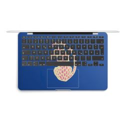 Foils for Laptops matt