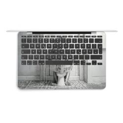 Foils for Laptops matt