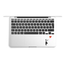 Foils for Laptops matt