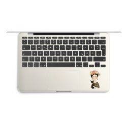 Foils for Laptops matt