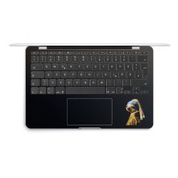 Foils for Laptops matt