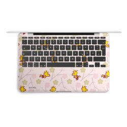 Foils for Laptops matt