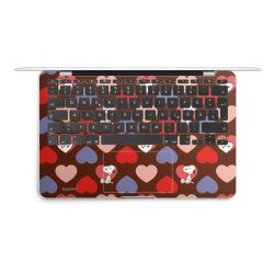 Foils for Laptops matt