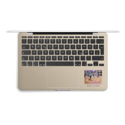 Foils for Laptops matt