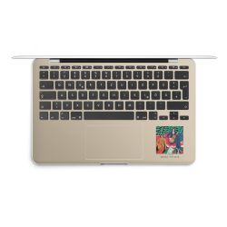 Foils for Laptops matt