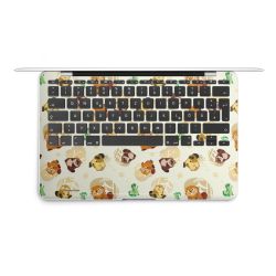 Foils for Laptops matt