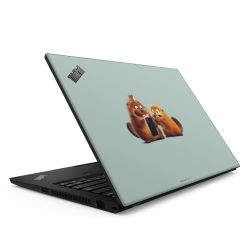 Foils for Laptops matt