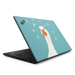 Foils for Laptops matt