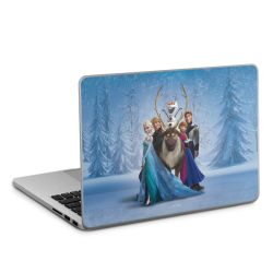 Foils for Laptops matt