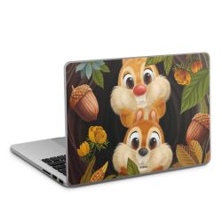 Foils for Laptops matt