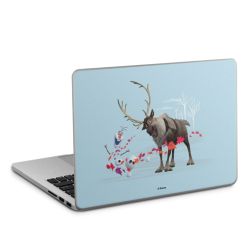 Foils for Laptops matt