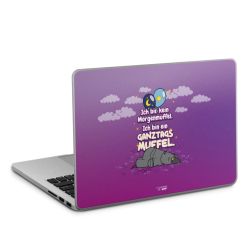 Folien für Laptops matt