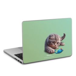 Foils for Laptops matt