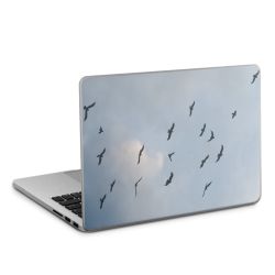 Foils for Laptops matt