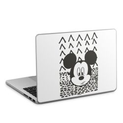 Foils for Laptops matt