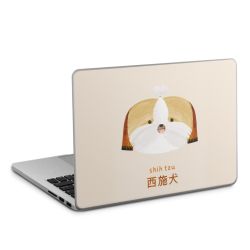 Foils for Laptops matt