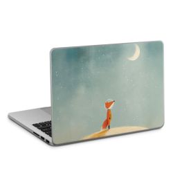 Foils for Laptops matt