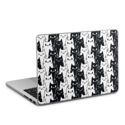 Foils for Laptops matt